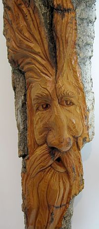 Bark Carving - #10 - Detailed view