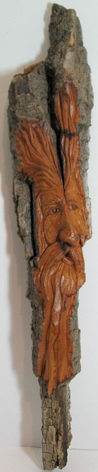 Bark Carving - #10 - 43 x 8 cm  (17 x 3 inches)