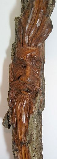 Bark Carving - #11 - Detailed view