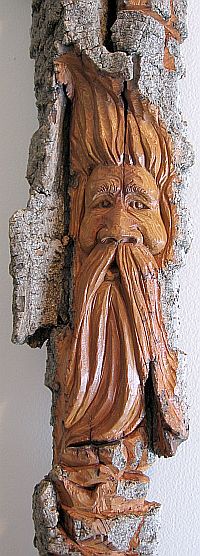 Bark Carving - #12 - Detailed view