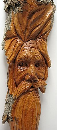 Bark Carving - #15 - Detailed view