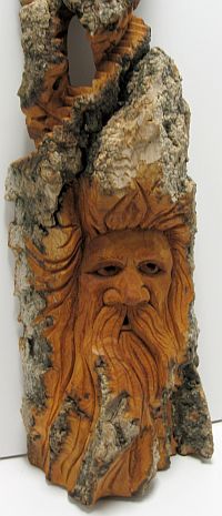 Bark Carving - #8 - Detailed view