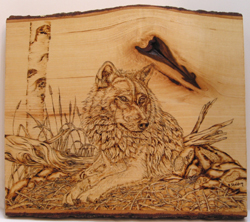 Pyrography - Wolf on grass