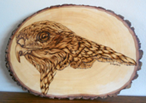 Pyrography - Red Tail Hawk