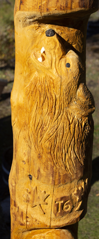 Spruce Carving Anglin Lake 2018   .....Photography by K Davidson - Detailed View