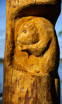 Spruce Carving Anglin Lake 2018   .....Photography by K Davidson - Detailed View