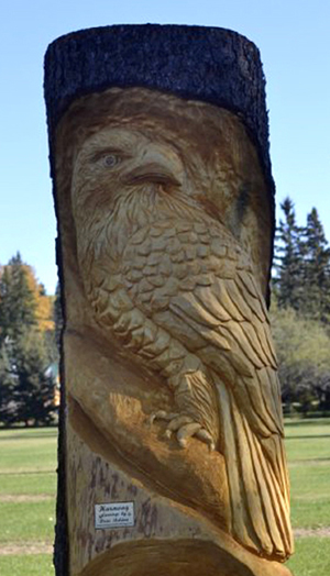 Spruce carving named 